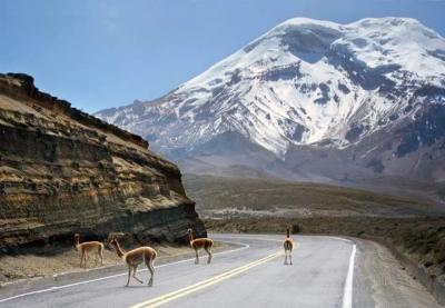 EL CHIMBORAZO